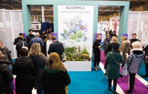 The atmosphere at Bijorhca