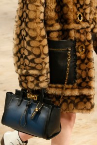 Detail of Coach 1941 RTW Fall 2019