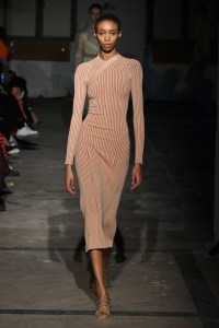 Dion Lee RTW Fall 2019