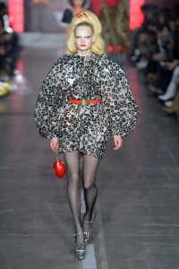 GCDS RTW Fall 2019