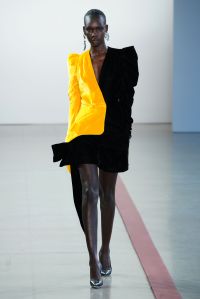 Hellessy RTW Fall 2019