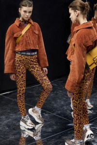 Just Cavalli RTW Fall 2019