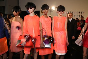 Fendi RTW Spring 2014