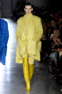 Max Mara RTW Fall 2019