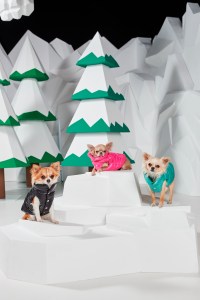 Moncler Genius RTW Fall 2019
