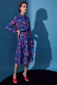 Novis RTW Fall 2019