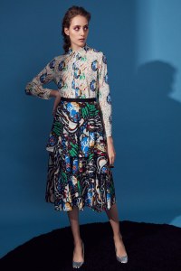 Novis RTW Fall 2019