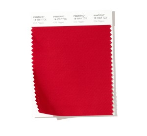 PANTONE 19-1557 Chili Pepper