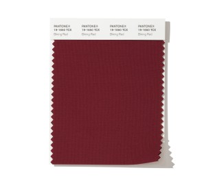 PANTONE 19-1650 Biking Red