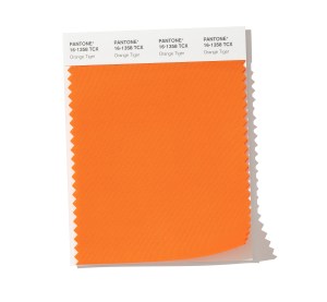 PANTONE 16-1358 Orange Tiger