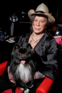 Mickey Rourke backstagePhilipp Plein and Billionaire show, Backstage, Fall Winter 2019, New York Fashion Week, USA - 11 Feb 2019
