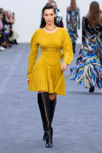 Roberto Cavalli RTW Fall 2019