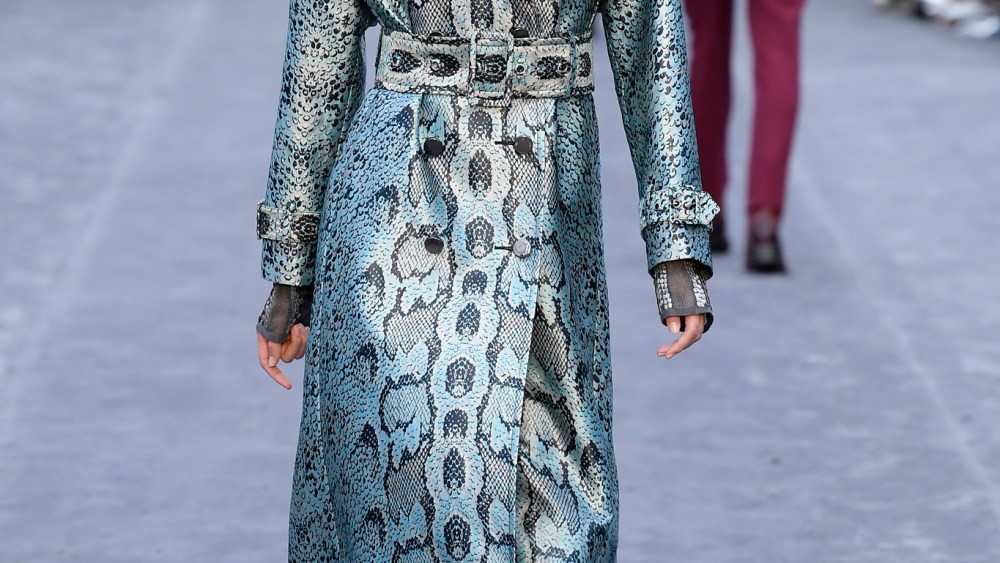 Roberto Cavalli RTW Fall 2019