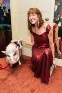 Lilou the Pig and guest