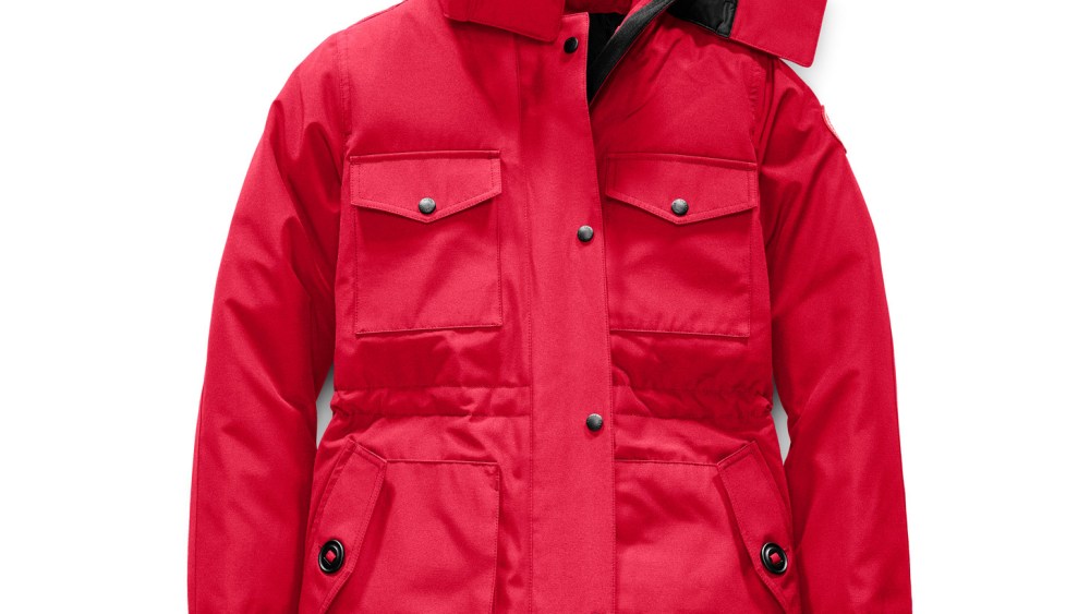 Canada goose