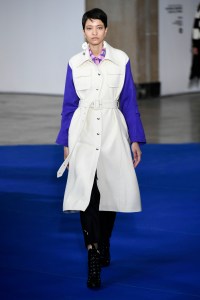 Model on the catwalk