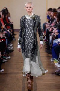 Y Project RTW Fall 2019