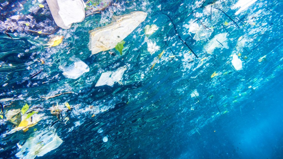 How Synthetic Microfibers End Up In Food and Drinking Water