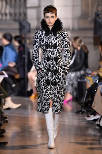 Andrew GN RTW Fall 2019