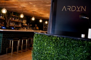 Ardyn in Greenwich Village, 33 W 8th St, New York.