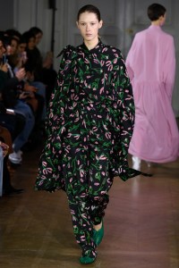 Christian Wijnants RTW Fall 2019