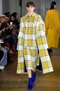 Christian Wijnants RTW Fall 2019