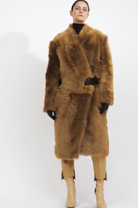 Petar Petrov RTW Fall 2019
