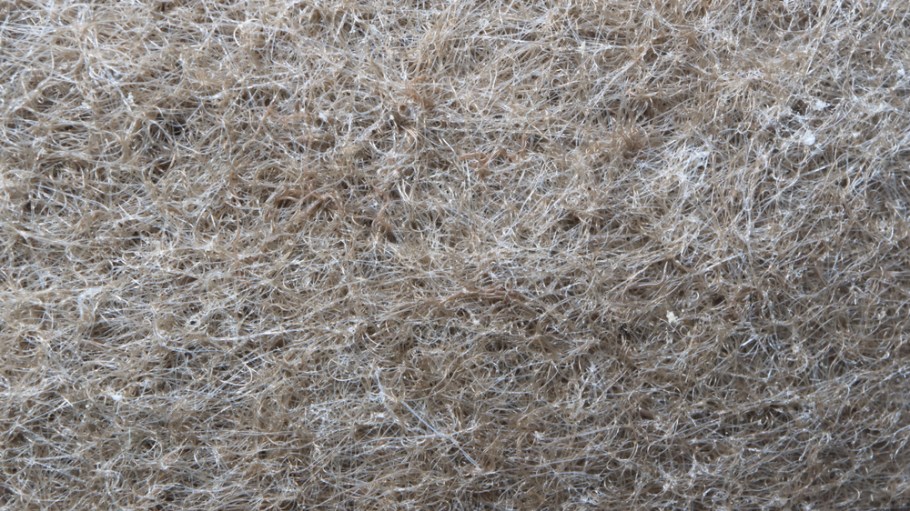 New Study Questions if Natural Fibers Are Better for the Environment