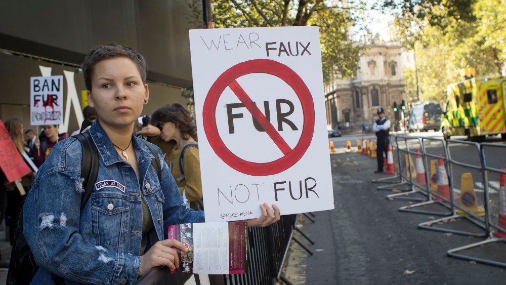 EXCLUSIVE: Film Denouncing Fur Deemed 'Staged' by IFF Investigators