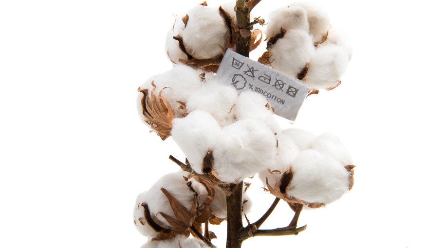 What Brands Are Doing With Sustainability—And What Consumers Want
