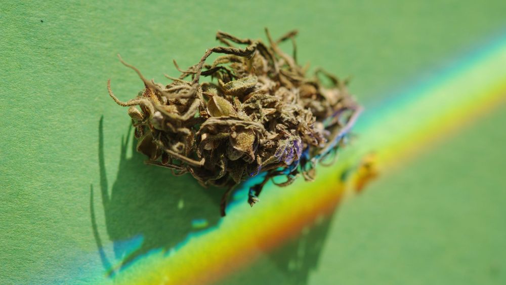 Cannabis Beauty by the Numbers