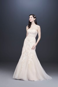 David's Bridal Spring 2020