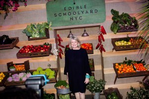 Martha Stewart