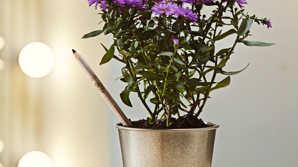Sprout's plantable makeup pencil