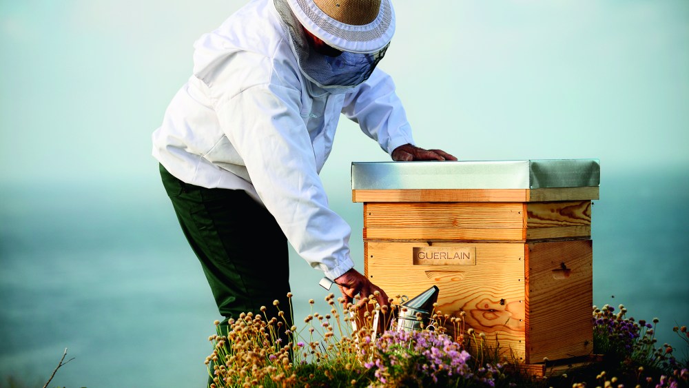 Guerlain has been supporting the Brittany Black Bee Conservatory on Ouessant Island in Brittany, France, since 2014