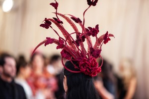 A detail from the Met Gala red carpet.