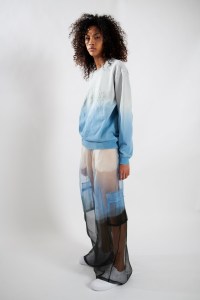 Astrid Andersen Spring 2020