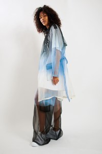 Astrid Andersen Spring 2020