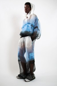 Astrid Andersen Spring 2020