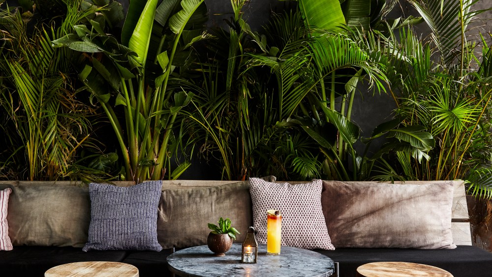 Gitano Jungle Room