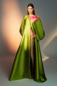 Alberta Ferretti Limited Edition Fall 2019