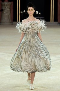 model on the catwalk