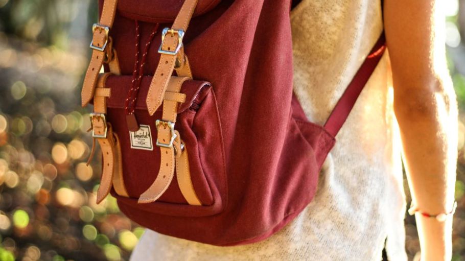 herschel vertebrae 3d augmented reality ecommerce