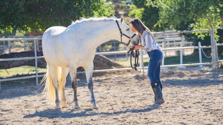 Kut from the Kloth partners with Peace 4 Animals