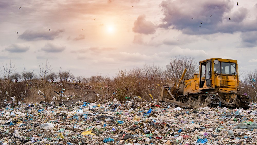 sustainability