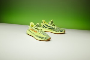 Yeezy Boost 250 v2 Frozen