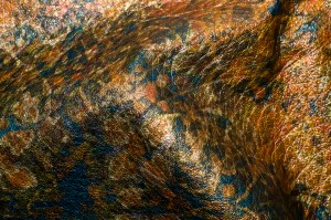 Digitally printed leather from Rial 1957.