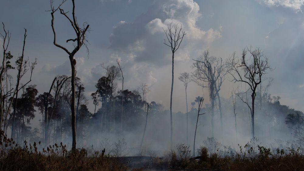 Amazon fires in Novo Progresso, Brazil.
