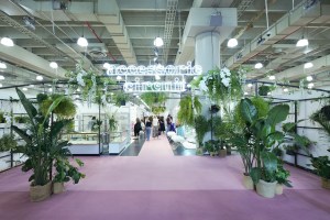 New York women's trade show.