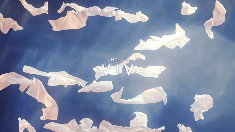 Not's Jenny Lai Launches 3-D Animated Film, 'VIV'